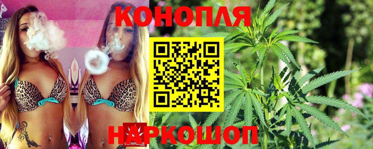Бошки Шишки конопля  Конопля OG Kush  Норильск  Бошки Шишки сатива  Бошки Шишки марихуана  Вход с VPN 